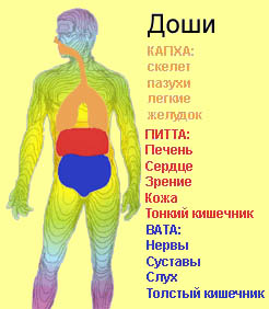 Доши в аюрведе