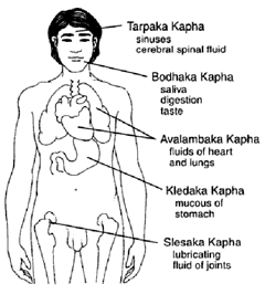 Капха доша Капха доша