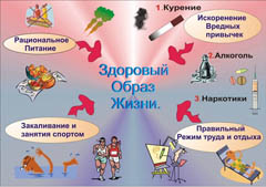 Образ жизни